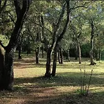 Evasion En Pleine Nature, Tipi Insolite Et Jacuzzi Au Pont Du Gard ! * Вер-Пон-дю-Гар